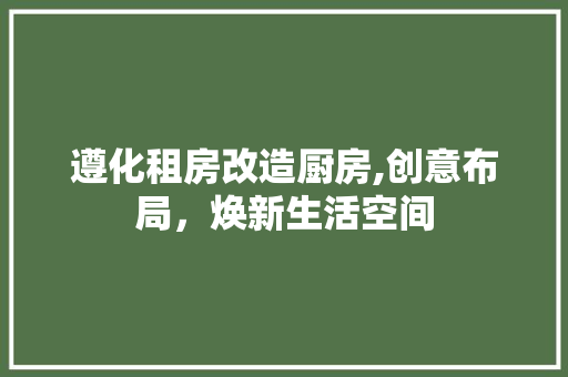 遵化租房改造厨房,创意布局，焕新生活空间