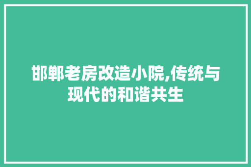 邯郸老房改造小院,传统与现代的和谐共生