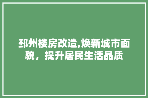 邳州楼房改造,焕新城市面貌，提升居民生活品质