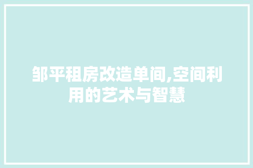 邹平租房改造单间,空间利用的艺术与智慧
