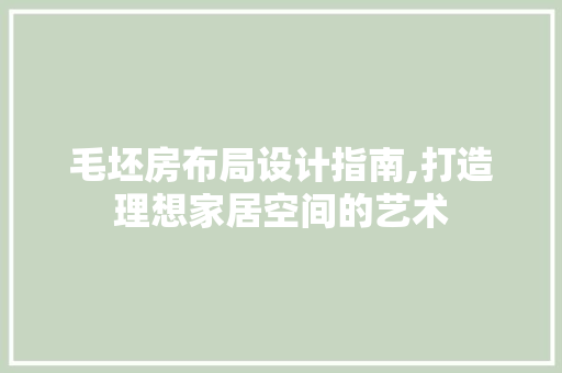 毛坯房布局设计指南,打造理想家居空间的艺术