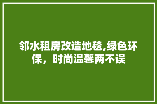 邻水租房改造地毯,绿色环保，时尚温馨两不误