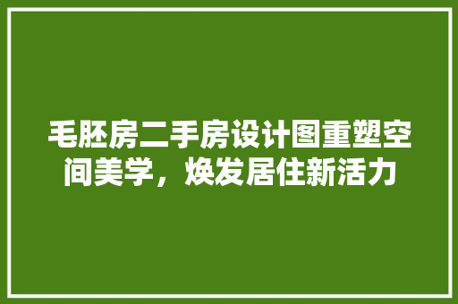 毛胚房二手房设计图重塑空间美学，焕发居住新活力