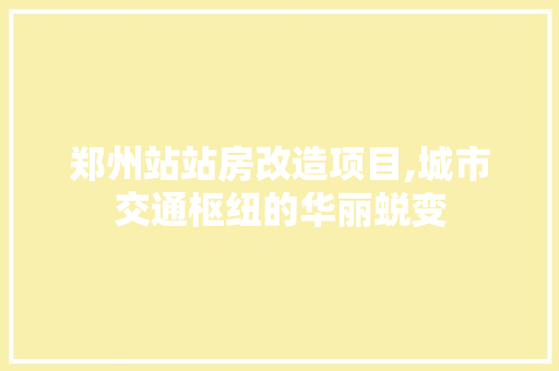 郑州站站房改造项目,城市交通枢纽的华丽蜕变