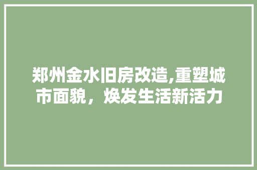 郑州金水旧房改造,重塑城市面貌，焕发生活新活力