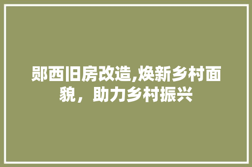 郧西旧房改造,焕新乡村面貌，助力乡村振兴