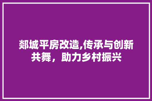 郯城平房改造,传承与创新共舞，助力乡村振兴