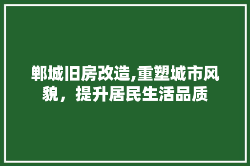 郸城旧房改造,重塑城市风貌，提升居民生活品质
