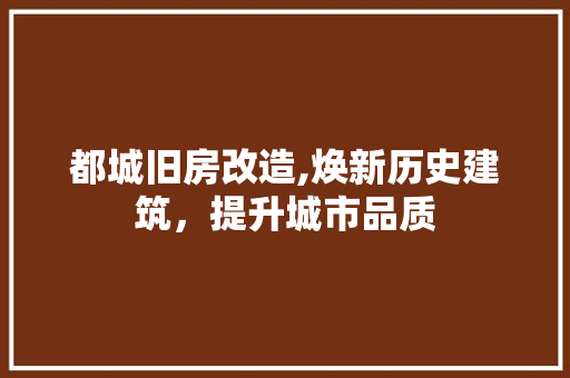 都城旧房改造,焕新历史建筑，提升城市品质
