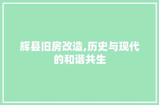 辉县旧房改造,历史与现代的和谐共生