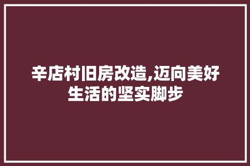 辛店村旧房改造,迈向美好生活的坚实脚步