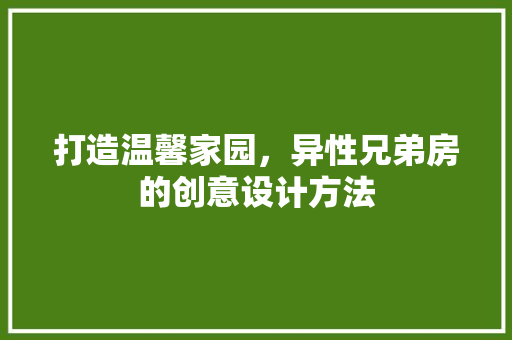 打造温馨家园，异性兄弟房的创意设计方法