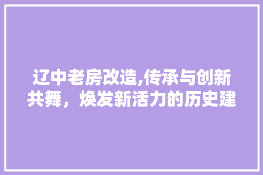 辽中老房改造,传承与创新共舞，焕发新活力的历史建筑