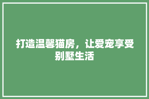打造温馨猫房，让爱宠享受别墅生活