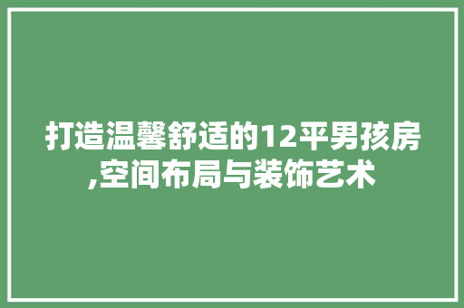 打造温馨舒适的12平男孩房,空间布局与装饰艺术