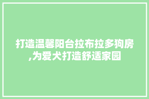 打造温馨阳台拉布拉多狗房,为爱犬打造舒适家园