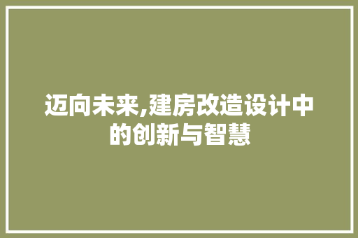 迈向未来,建房改造设计中的创新与智慧