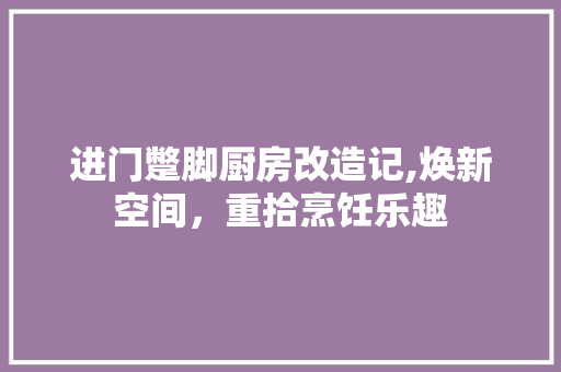 进门蹩脚厨房改造记,焕新空间，重拾烹饪乐趣
