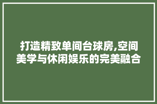 打造精致单间台球房,空间美学与休闲娱乐的完美融合