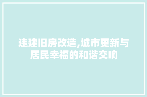 违建旧房改造,城市更新与居民幸福的和谐交响