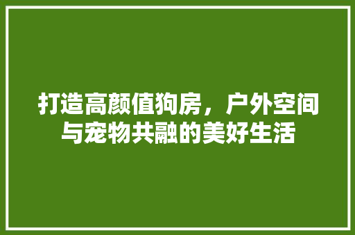 打造高颜值狗房，户外空间与宠物共融的美好生活