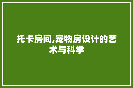 托卡房间,宠物房设计的艺术与科学