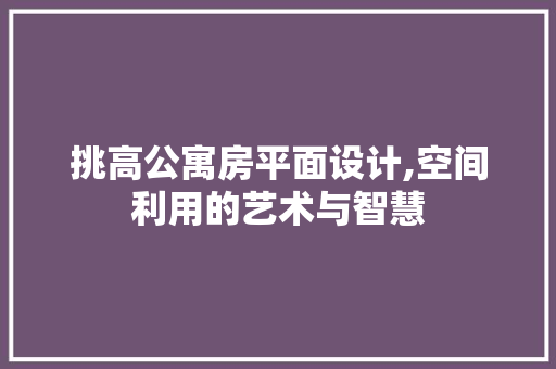 挑高公寓房平面设计,空间利用的艺术与智慧