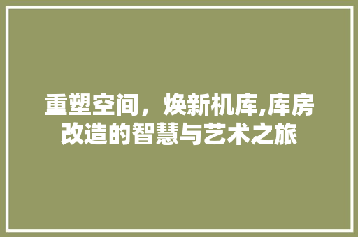 重塑空间，焕新机库,库房改造的智慧与艺术之旅