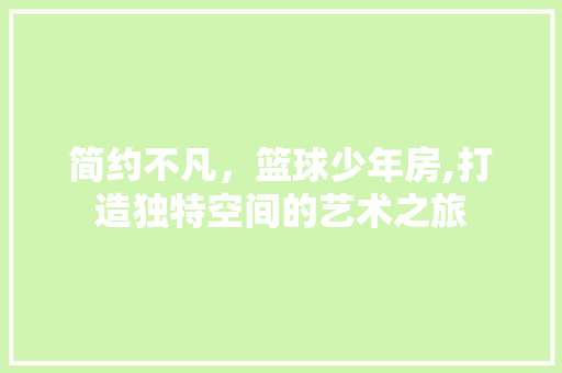 简约不凡，篮球少年房,打造独特空间的艺术之旅