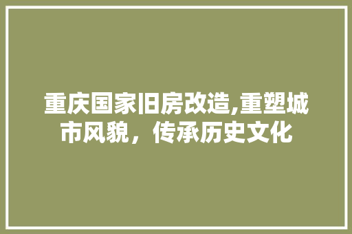 重庆国家旧房改造,重塑城市风貌，传承历史文化
