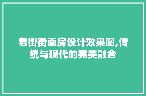 老街街面房设计效果图,传统与现代的完美融合