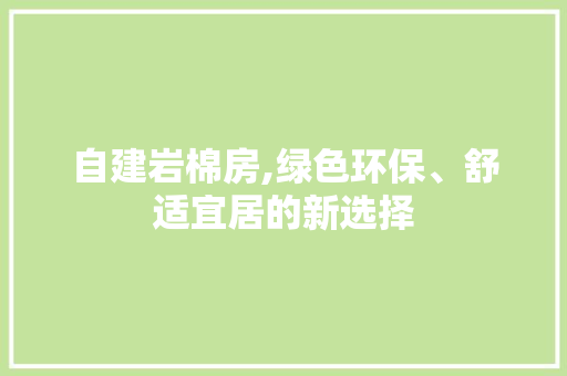 自建岩棉房,绿色环保、舒适宜居的新选择