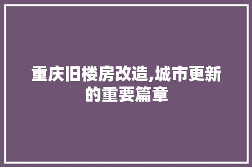 重庆旧楼房改造,城市更新的重要篇章