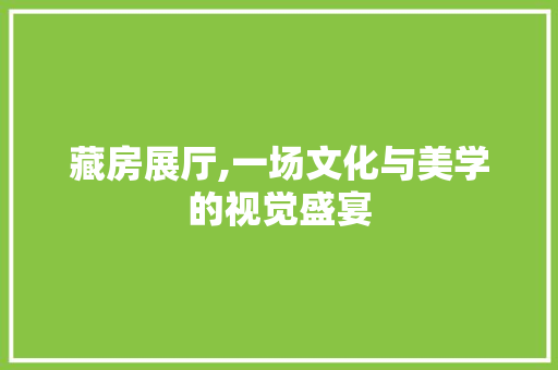 藏房展厅,一场文化与美学的视觉盛宴
