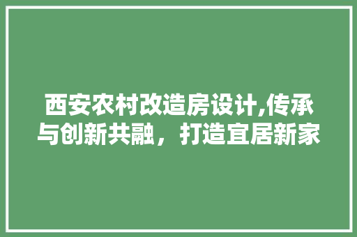 西安农村改造房设计,传承与创新共融，打造宜居新家园