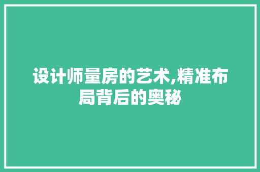 设计师量房的艺术,精准布局背后的奥秘