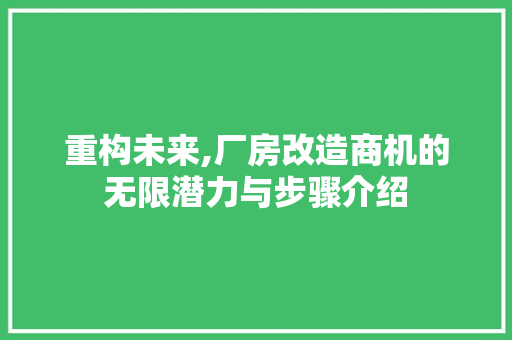 重构未来,厂房改造商机的无限潜力与步骤介绍