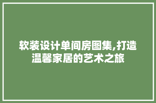 软装设计单间房图集,打造温馨家居的艺术之旅