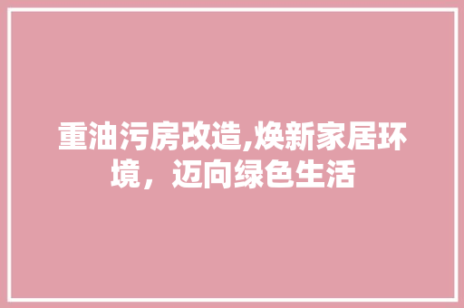 重油污房改造,焕新家居环境，迈向绿色生活
