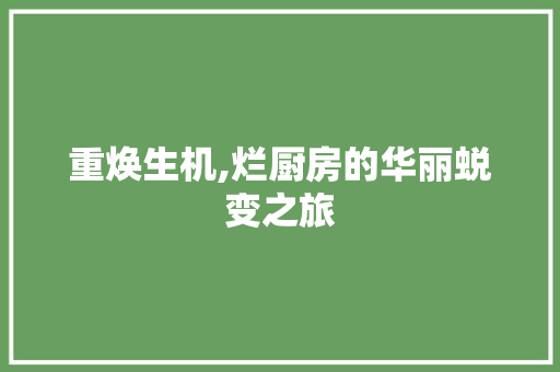 重焕生机,烂厨房的华丽蜕变之旅
