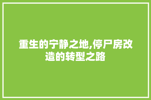 重生的宁静之地,停尸房改造的转型之路