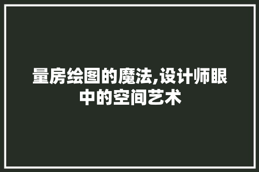 量房绘图的魔法,设计师眼中的空间艺术