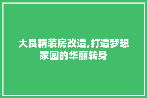 大良精装房改造,打造梦想家园的华丽转身