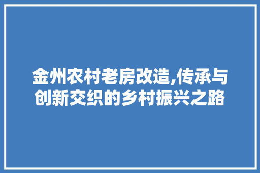 金州农村老房改造,传承与创新交织的乡村振兴之路