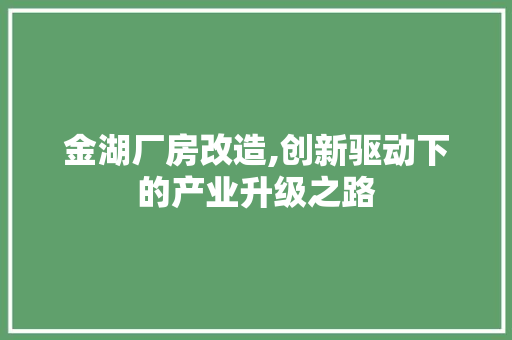 金湖厂房改造,创新驱动下的产业升级之路