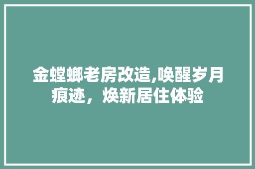 金螳螂老房改造,唤醒岁月痕迹，焕新居住体验