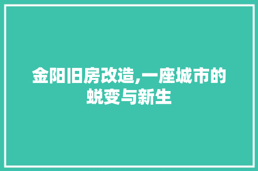 金阳旧房改造,一座城市的蜕变与新生