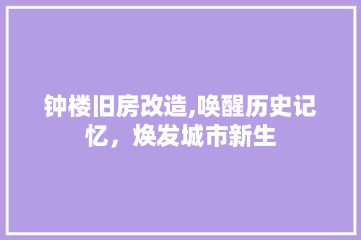 钟楼旧房改造,唤醒历史记忆，焕发城市新生