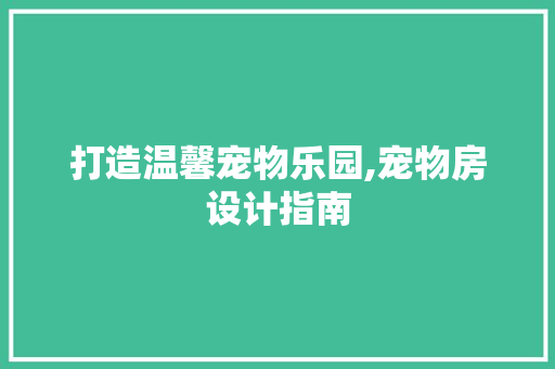 打造温馨宠物乐园,宠物房设计指南