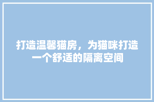 打造温馨猫房，为猫咪打造一个舒适的隔离空间